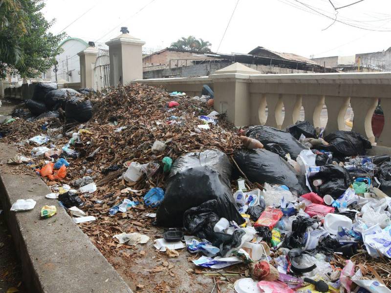 El antiguo parque La Concordia, que antiguamente honraba el arte y la naturaleza, registra un panorama de olvido, basura e inseguridad.