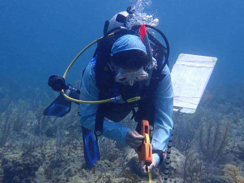 Los hábitats y especies que reciben protección son los arrecifes, manglares, pastos marinos, lagunas, playas, sitios de desove y el tiburón ballena