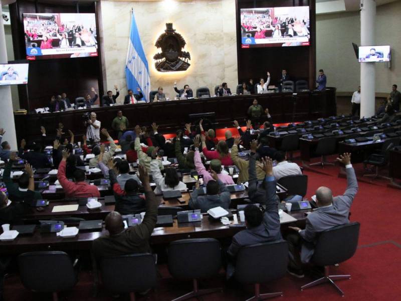 La sesión extraordinaria presidida por Luis Redondo solo contaba con diputados y suplentes de Libre.