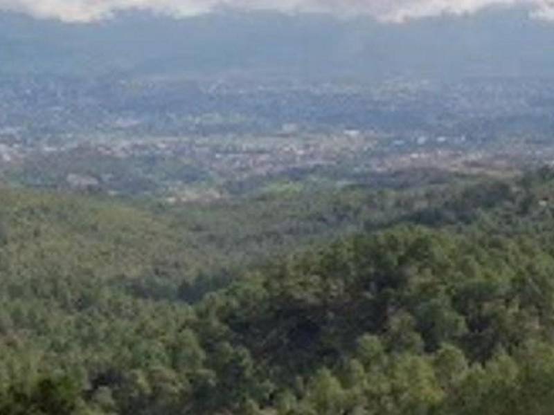 La Fuerza Aérea Honduras (FHA) por su lado confirmó que ninguna de sus naves ha sufrido algún percance este día.