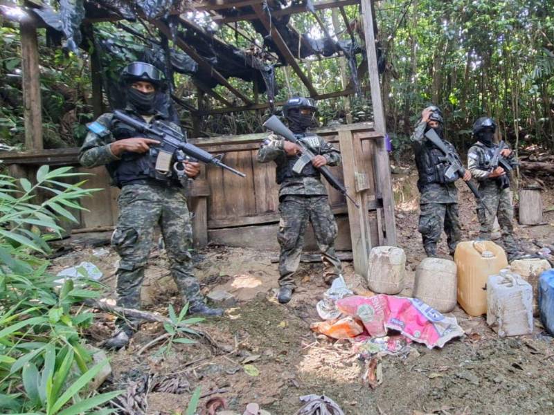 El cártel del narcotráfico, dueño de la plantación, también procesaba la pasta de coca en esa montaña de La Hicaca.