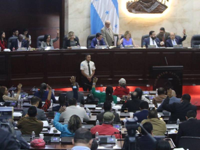 Mientras unos sectores proponen que el nuevo Congreso Nacional realice una revisión de la Tasa de Seguridad, otros exigen su eliminación.