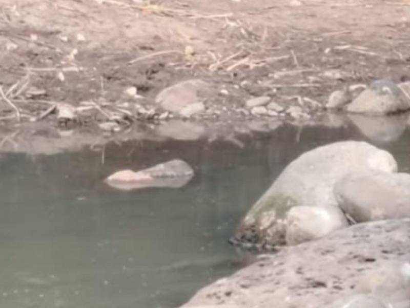 El cuerpo del hombre fue llevado a una zona solitaria donde le quitaron la vida.