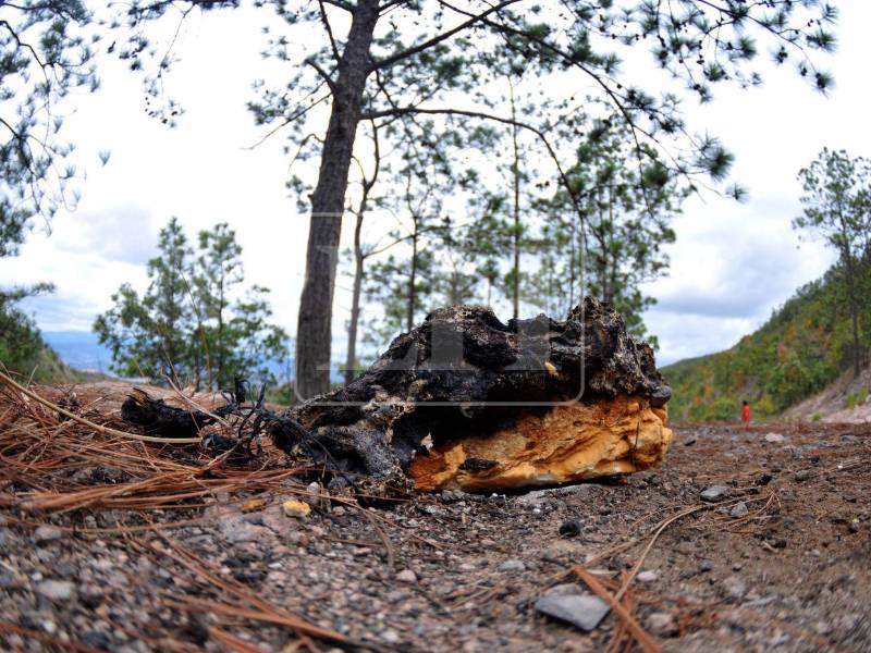 En El Cimarrón aún hay vestigios del macabro hallazgo de los cuerpos calcinados, el pasado 12 de mayo.