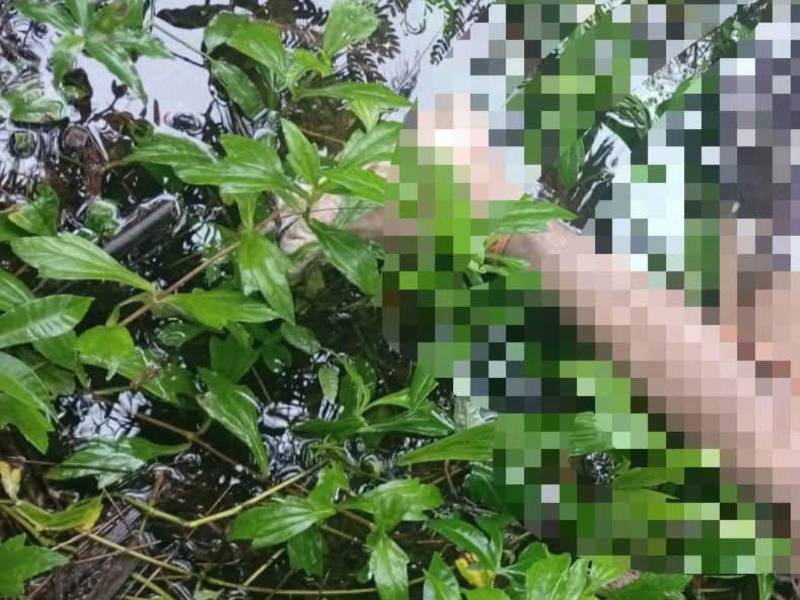 El cadáver fue encontrado atado y en un charco de agua; la DPI investiga el caso.