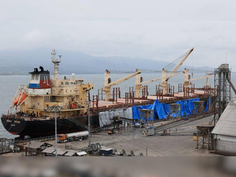 La nueva inversión forma parte del proceso de transformación de la Terminal de Graneles Sólidos iniciado hace más de una década.