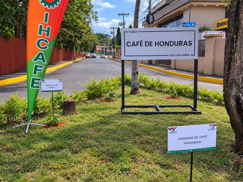 La inauguración de la “Calle Café de Honduras” pone en valor la importancia económica, social y cultural de la caficultura, uno de los sectores productivos más representativos del país.