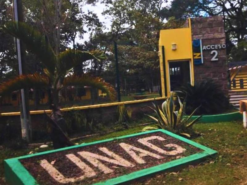 La crisis en la Universidad Nacional de Agricultura (Unag) se sigue profundizando.