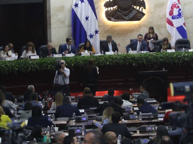 Dennis Gómez, exmagistrado del desaparecido Tribunal Supremo Electoral (TSE), considera que no hay ambiente político para implementar las reformas electorales en Honduras.