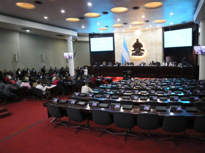 Luis Redondo sesionó solo con los diputados de Libre, los suplentes y una liberal.