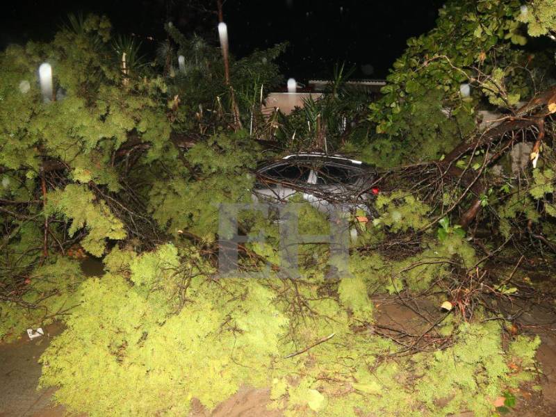El jueves 9 de octubre, en la colonia La Campaña, un enorme árbol cayó sobre un muro perimetral y un auto tras las lluvias.
