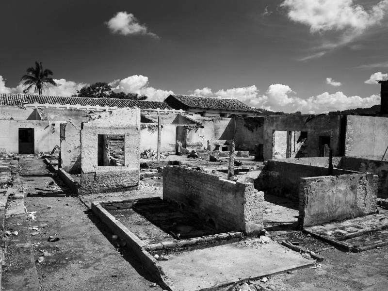 Ruinas tocadas por la soledad y el silencio, aquí la cámara de Daniela Lozano encontró la flor y la espina.