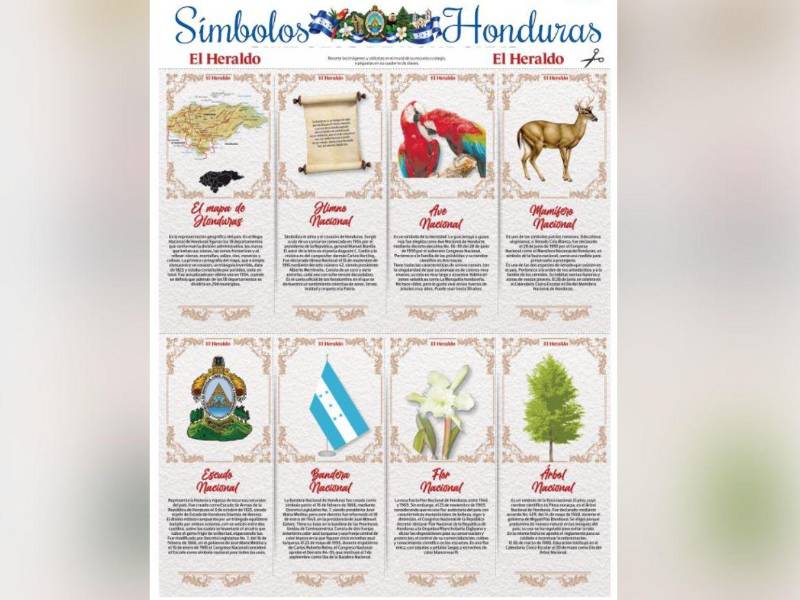 La edición coleccionable de EL HERALDO reúne información sobre estos símbolos para acercar a los lectores a su origen, sus características y el significado que tienen para Honduras.