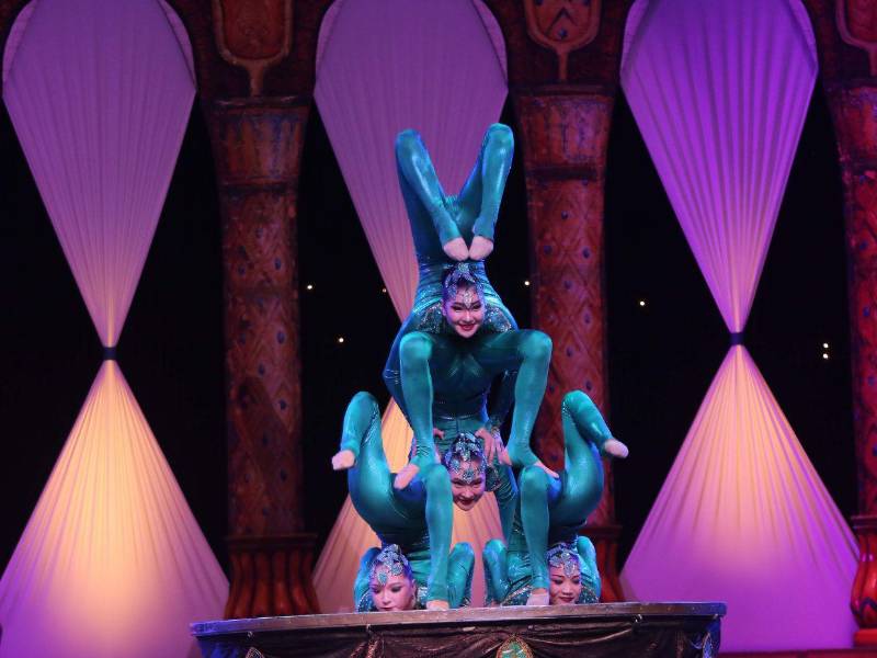 Cuatro contorsionistas originarias de Mongolia desafían las leyes de la anatomía humana.