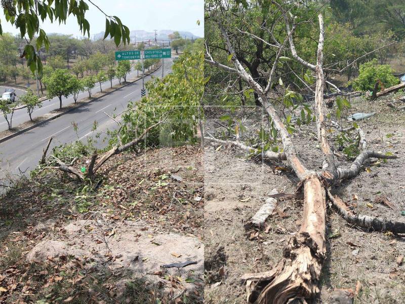 Así quedó el lugar del accidente donde fallecieron José Manuel Juárez Murillo y su amigo Jonathan Alexi Palma Ríos. ¿Cómo fueron los minutos antes de la tragedia?