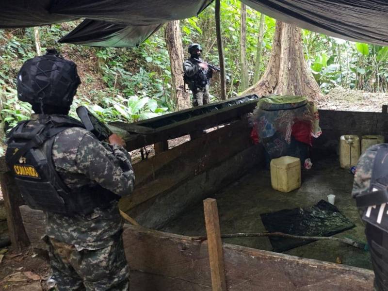 En dos de las plantaciones habían pequeños y rudimentarios narcolaboratorios para procesar la hoja de coca.