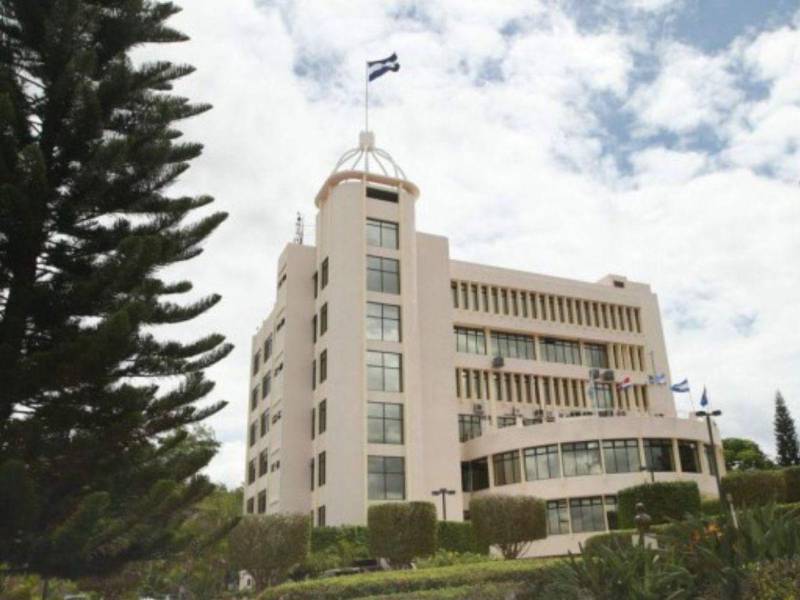 Algunos de los 30 contratos que se dieron son en áreas de política exterior, en materia de movilidad humana, ayuda y protección al migrante hondureño, en compras públicas del estado y en materia de soberanía. Analistas cuestionan que las consultorías fueron otorgadas a personas que no cumplían con el perfil necesario.