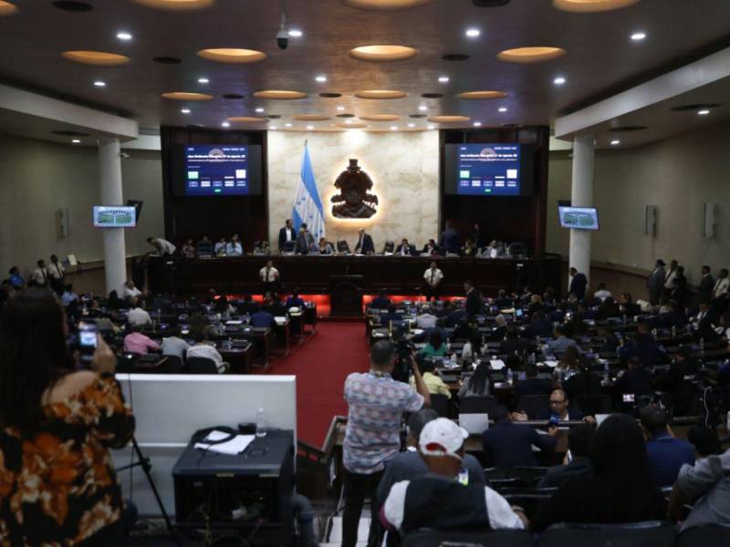 Diputados del Congreso Nacional se preparan para una sesión del pleno en la que podrían asumir funciones de escrutinio electoral ante retrasos del CNE.