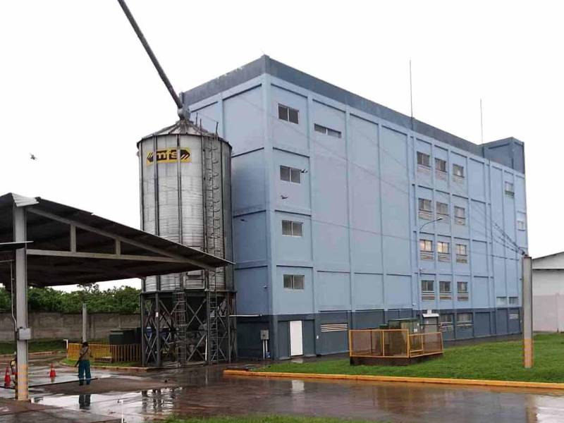En la actualidad, la planta de harinas de trigo, es la más moderna de Centroamérica, con una producción maxima de más de 95 millones de libras anualmente.