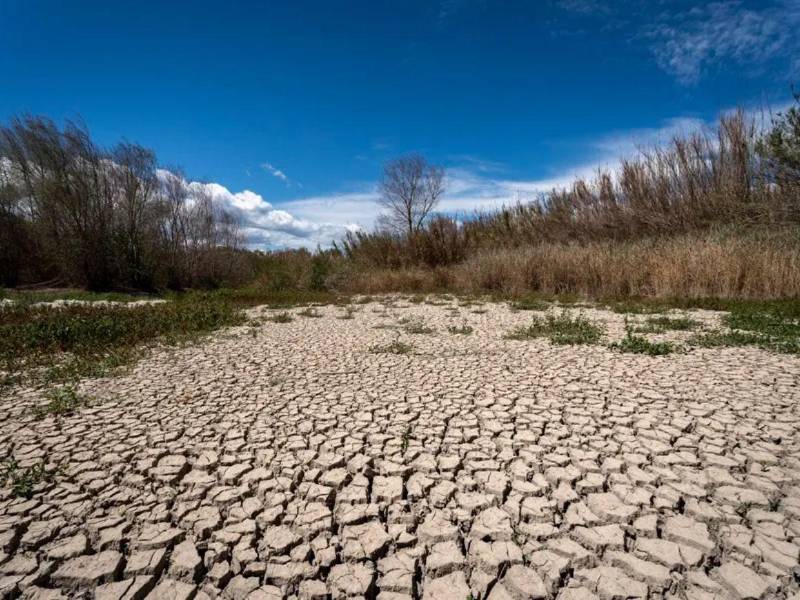 Desde 2015 el planeta se calienta a 0.35 grados Celsius por década, casi el doble que antes, según un análisis de cinco grandes bases de datos climáticas.