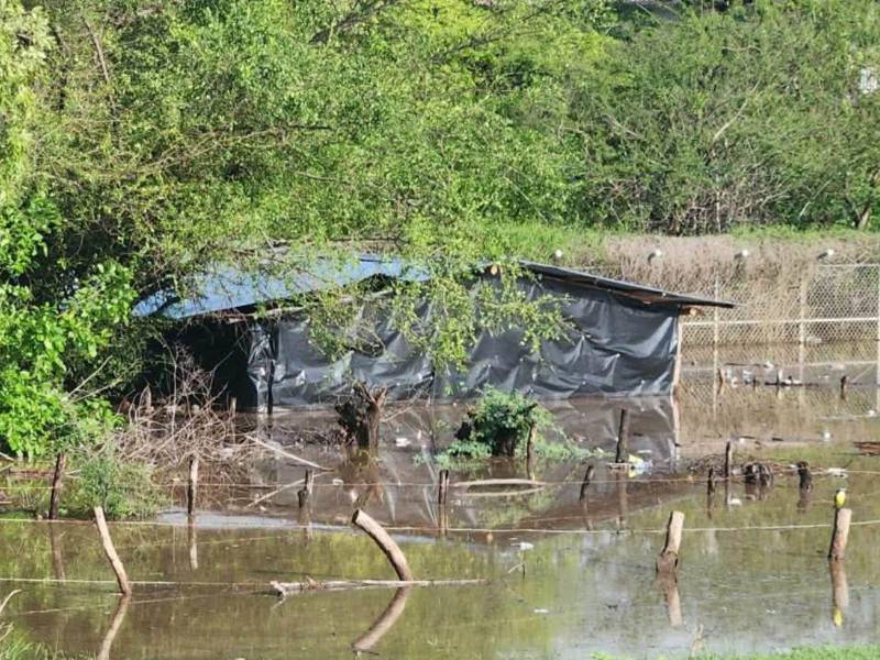 Las inundaciones se han registrado en varias zonas alejadañas al río Goascorán y en la zona norte.