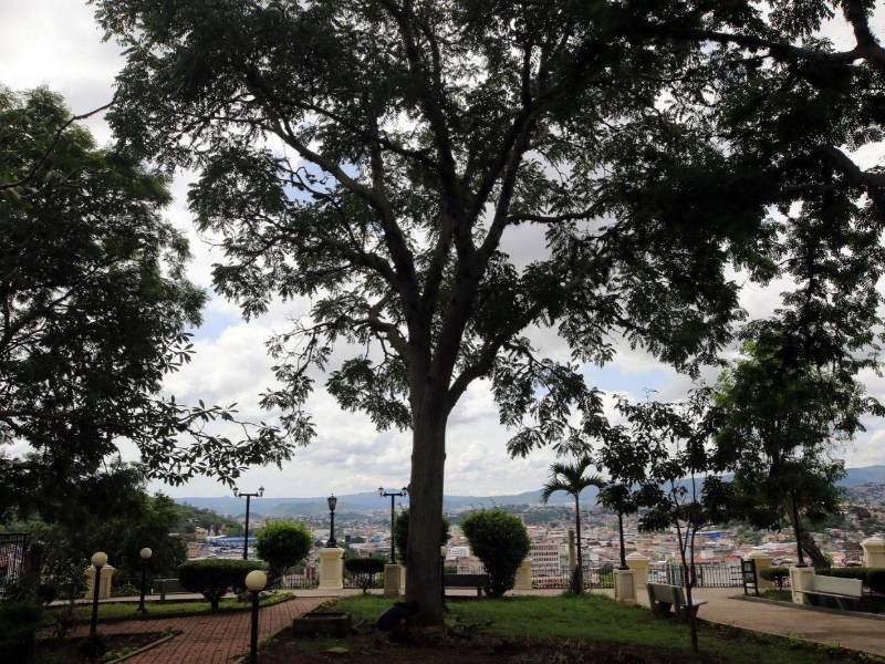 Los residentes de La Leona tendrán participación en la selección de plantas y en el seguimiento de las mejoras de jardinería, tras alcanzar acuerdos con la Unidad de Gestión Ambiental.