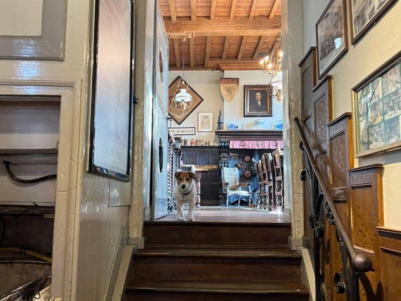 El anfitrión de cuatro patas ofrece una cálida bienvenida a decenas de clientes.