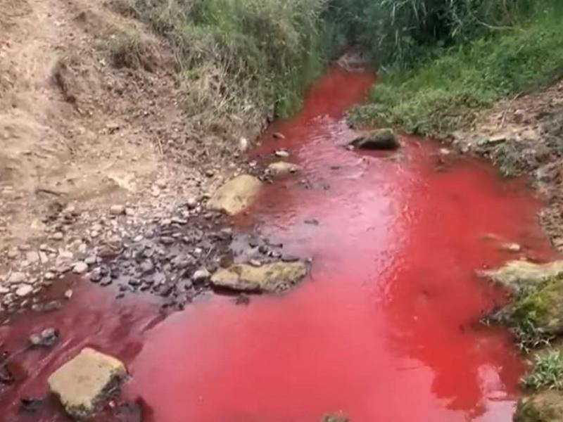 El fenómeno estaría relacionado con el lavado de barriles que contenían productos químicos en un carwash de la zona, cuyos residuos habrían sido descargados en el afluente.