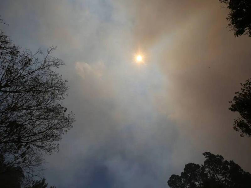 De acuerdo con los análisis de los modelos meteorológicos, en julio y agosto se puede agudizar el fenómeno del Niño y será muy severo en la mayor parte del territorio nacional.