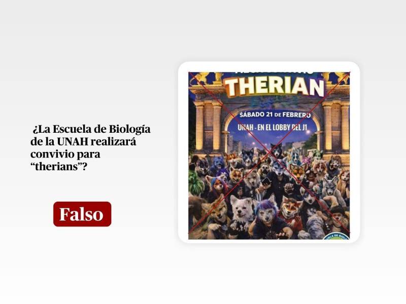 Captura de pantalla a un contenido de WhatsApp hecha el 20 de febrero de 2026, adaptada a esta cartela.