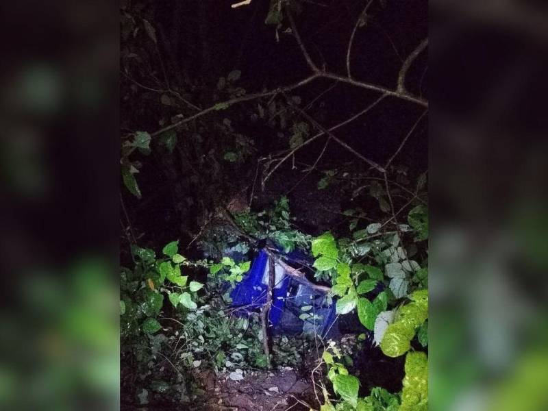 El vehículo en el que se conducía quedó atrapado en la maleza.