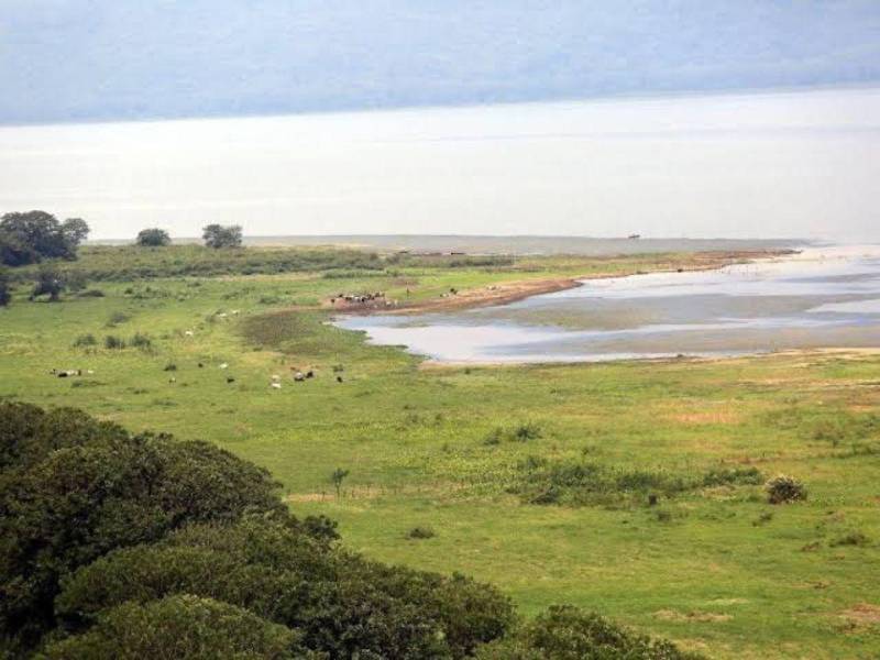 Copeco recibió una alerta de la supuesta desaparición de cuatro extranjeros en la tarde del pasado martes en el Lago de Yojoa. Sin embargo, se trataría de una llamada de emergencia falsa.