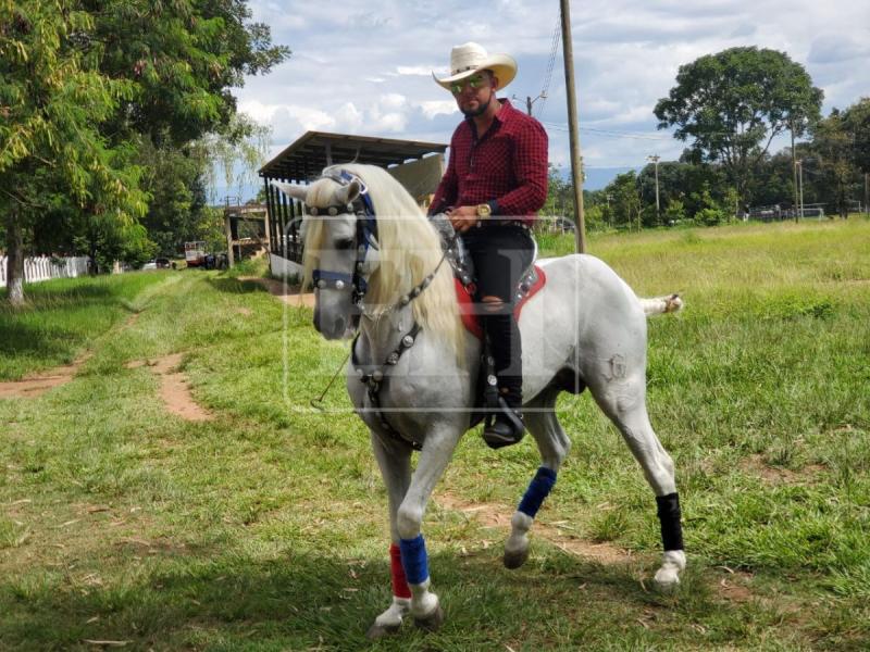 No llegó a entregar el ganado y se perdió el camión: últimos detalles de Elmer Méndez