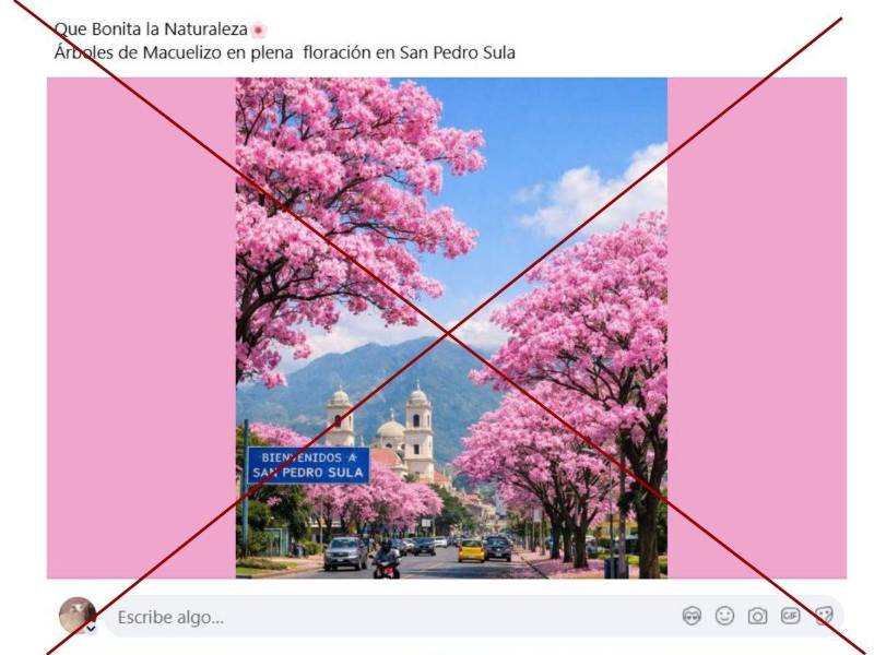 Captura de pantalla a una publicación de Facebook hecha el 6 de marzo de 2026.