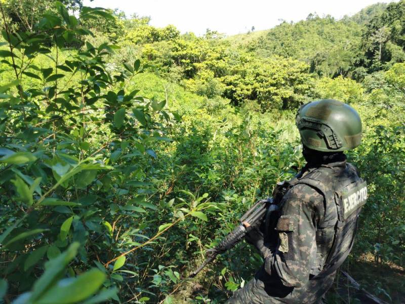 Las organizaciones de narcotráfico se han apoderado de territorios lejanos de Honduras.