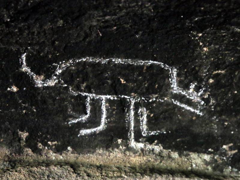 Petroglifos y pictoglifos zoomorfos como este adornan los abrigos rocosos de Ayasta. ¿A qué animal hace referencia el grabado?