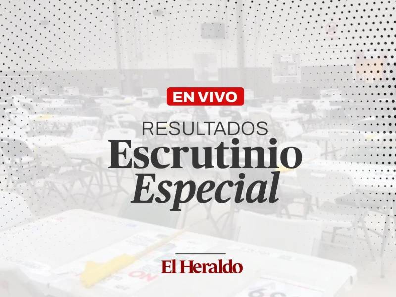 El escrutinio especial podría definir al ganador del nivel presidencial de las elecciones celebradas el pasado 30 de noviembre.