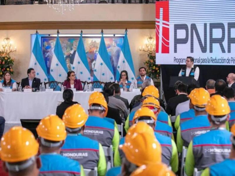 El PNRP estuvo dirigido durante el período auditado por una Coordinación Nacional integrada, entre otros, por Christhian Sanabria, Vanessa Arias y Raúl Soto. El programa fue creado para reducir las pérdidas técnicas y no técnicas de la ENEE.
