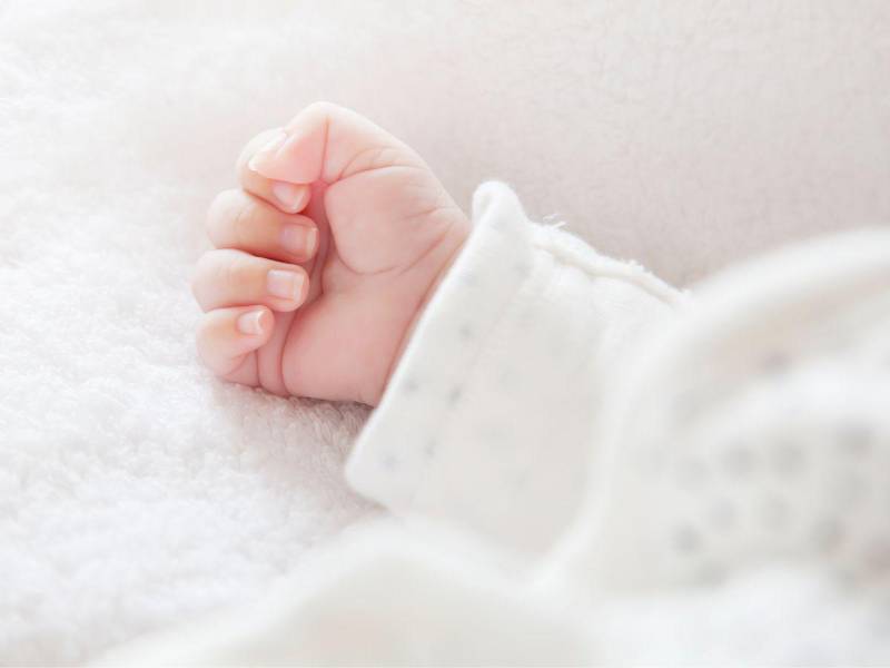 Conozca a los pequeñines que se robaron el corazón de sus madres en esta Navidad 2025.