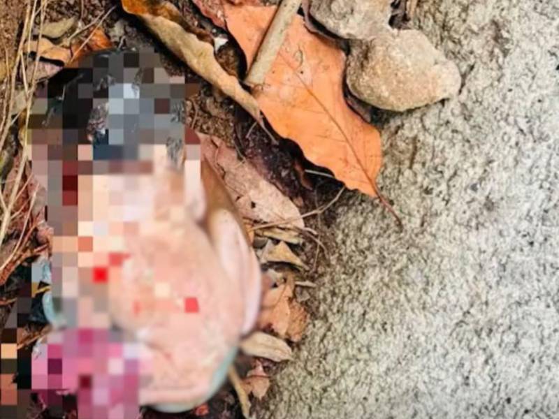 Investigan qué ocurrió con el embarazo de una menor tras hallazgo de un feto en Lempira.