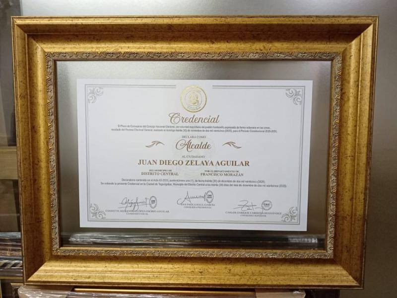 Acreditación que el CNE entregó a Juan Diego Zelaya.