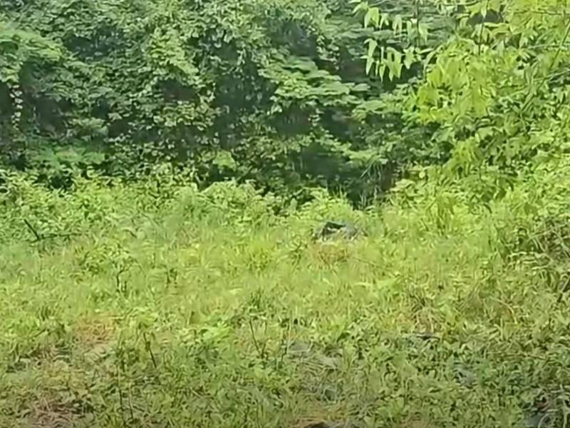 El cadáver fue encontrado en una zona solitaria y rodeada de maleza en la carretera de Ticamaya, que conduce de Choloma hacia San Pedro Sula.