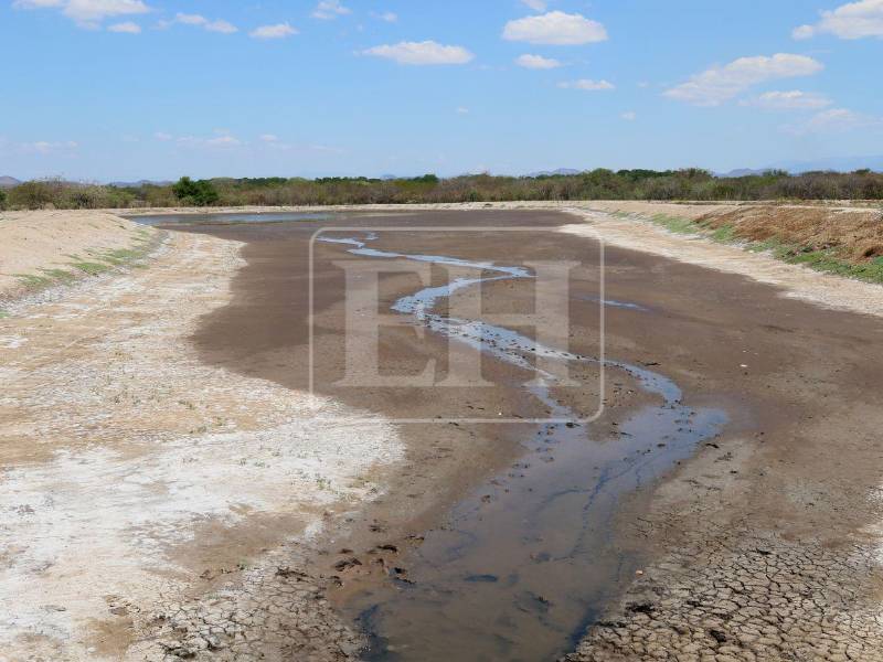Más de 200 fincas de camarón permanecen cerradas en la zona sur de Honduras tras cortar relaciones con Taiwán. Muchas están a punto de desaparecer por completo si el Gobierno actual no interviene. La crisis se agrava a medida que pasa el tiempo y no reciben una respuesta.