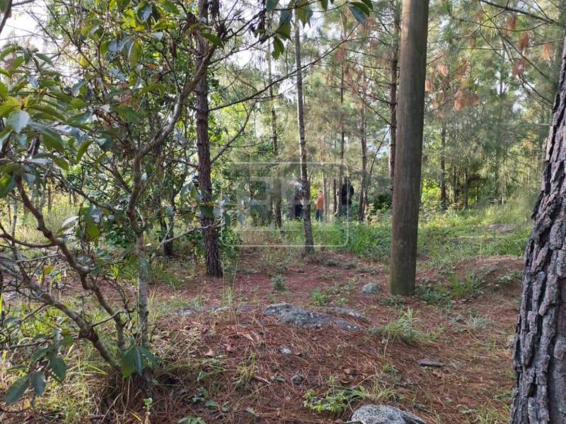 El hombre fue identificado como Pedro Higinio González y su cuerpo estaba en estado de descomposición.