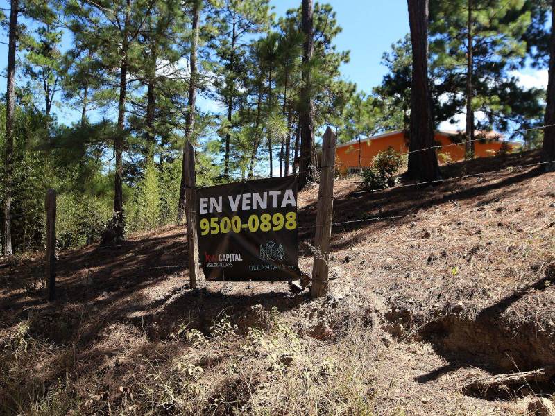 Las constructoras de Tatumbla sostienen que vender lotes de 800 varas encarece la vivienda y limita el acceso a compradores de clase media.