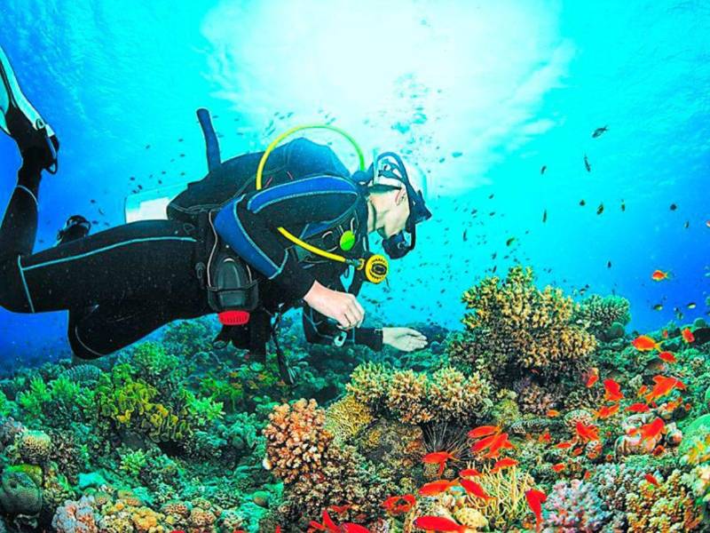 El buceo para apreciar el coral marino y la diversidad de peces, es el gran atractivo el la bella Utila.