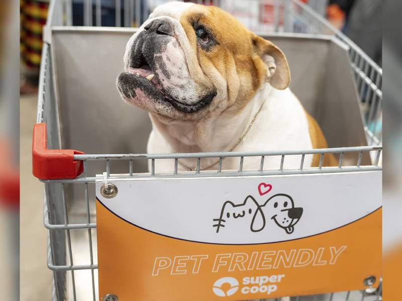 Segundo aniversario de Supercoop y La Cope: calidad, comunidad y experiencias únicas