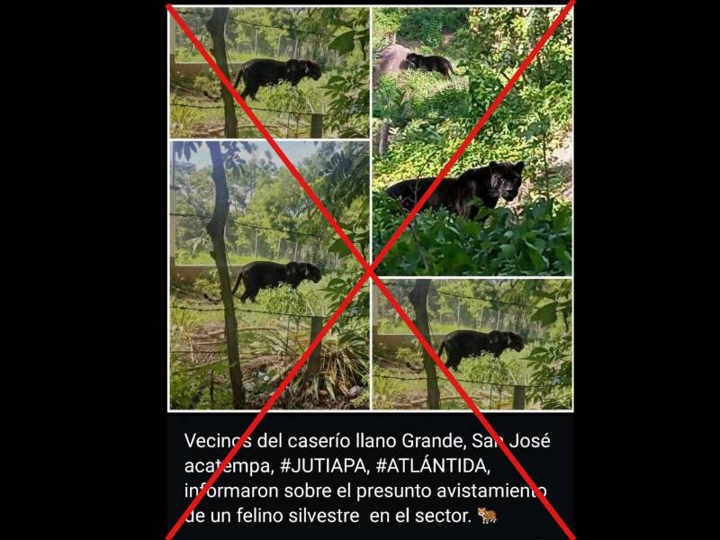 Captura de pantalla a un estado de WhatsApp hecha el 11 de julio de 2026.