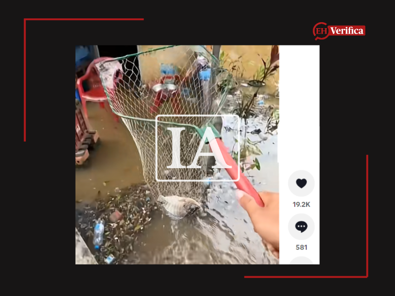 Captura de pantalla a una publicación de Tik Tok, hecha el 5 de octubre de 2026, adaptada a esta cartela.