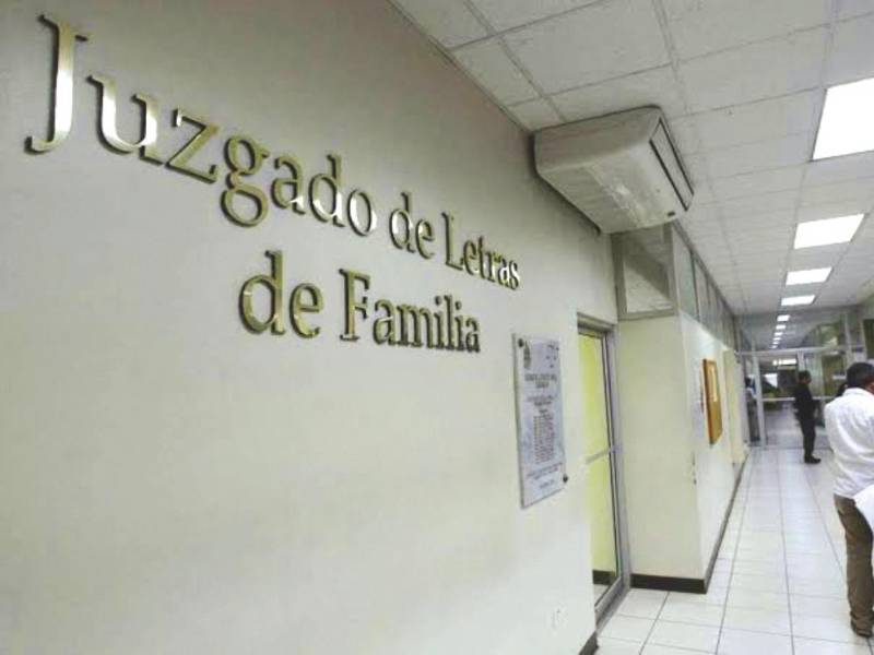 Los Juzgados de Familia son la instancia donde las parejas deben resolver legalmente la disolución de su matrimonio, ya sea mediante un proceso de mutuo consentimiento o a través de una demanda contenciosa cuando no existe acuerdo entre los cónyuge.
